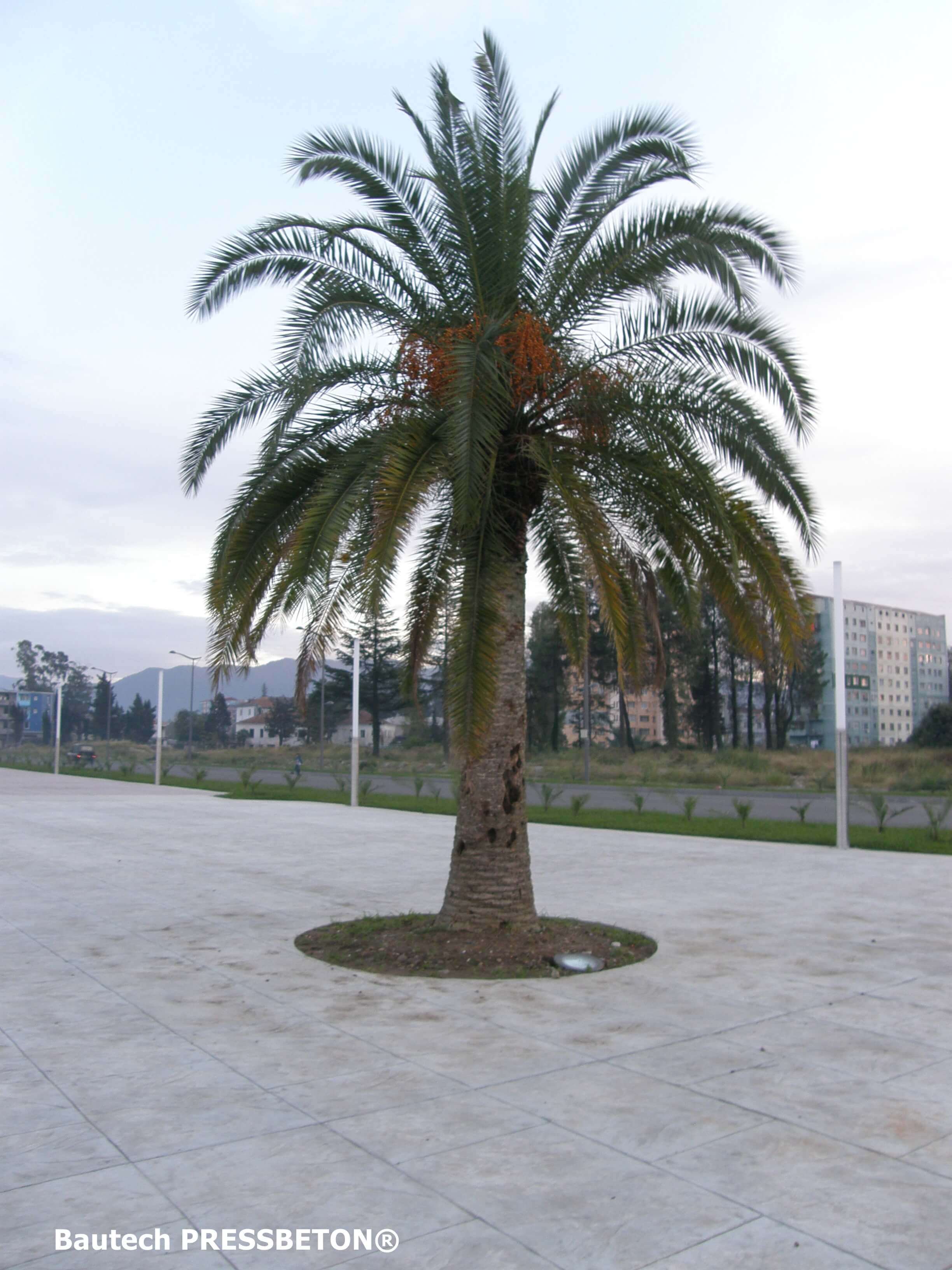 8 BAUTECH PRESSBETON PROMENADA